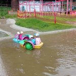 phoca_thumb_m_vp 2.den 110 Fotogalerie